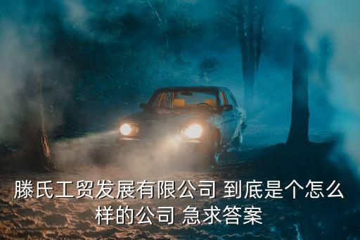 滕氏工貿發展有限公司 到底是個怎么樣的公司 急求答案