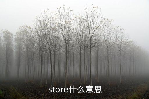  store什么意思