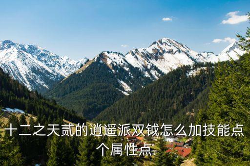 十二之天貳的逍遙派雙鉞怎么加技能點個屬性點