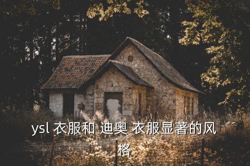 ysl 衣服和 迪奧 衣服顯著的風格