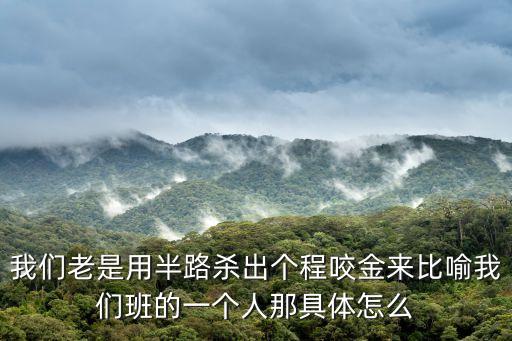 半路殺出個程咬金是什么意思，偈后語半路殺出個程咬金