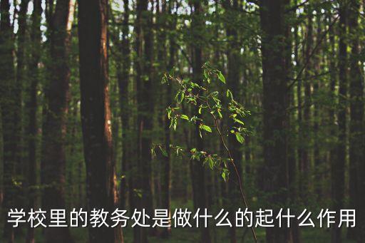 學(xué)校里的教務(wù)處是做什么的起什么作用