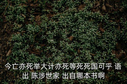 今亡亦死舉大計亦死等死死國可乎 語出 陳涉世家 出自哪本書啊