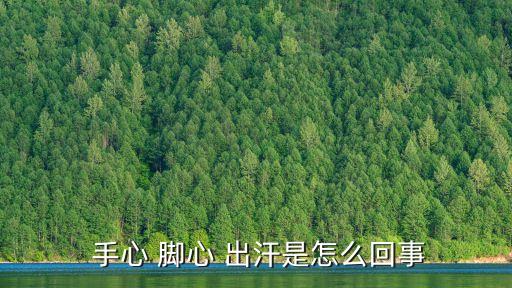  手心 腳心 出汗是怎么回事