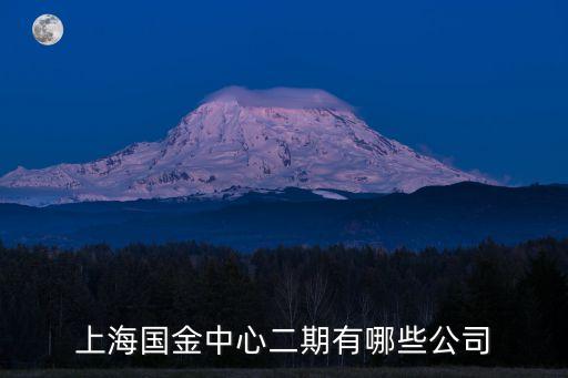 上海國(guó)金中心二期有哪些公司