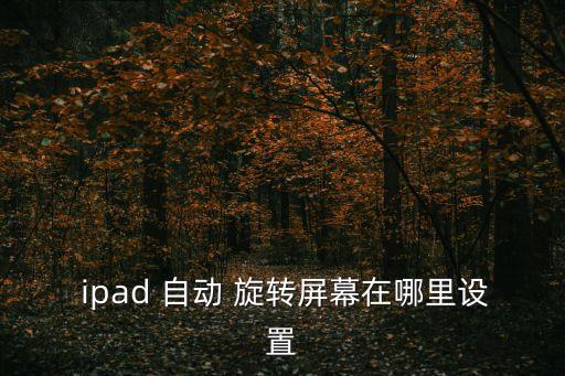  ipad 自動 旋轉(zhuǎn)屏幕在哪里設(shè)置