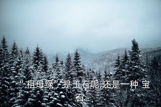 “ 祖母綠”是玉石呢,還是一種 寶石