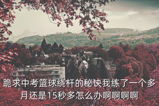 跪求中考籃球繞桿的秘訣我練了一個多月還是15秒多怎么辦啊啊啊啊