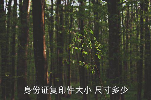  身份證復(fù)印件大小 尺寸多少