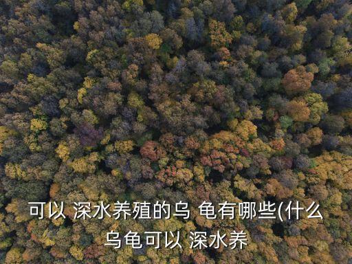 可以 深水養殖的烏 龜有哪些(什么烏龜可以 深水養