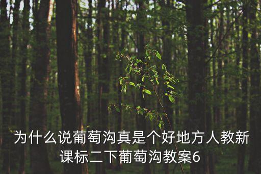 葡萄溝教案，二年級下冊第10課葡萄溝中葡萄溝的葡萄有什么特點