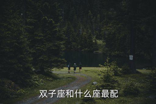 雙子座和什么座最配對,星座配對:雙子座和水瓶座最般配