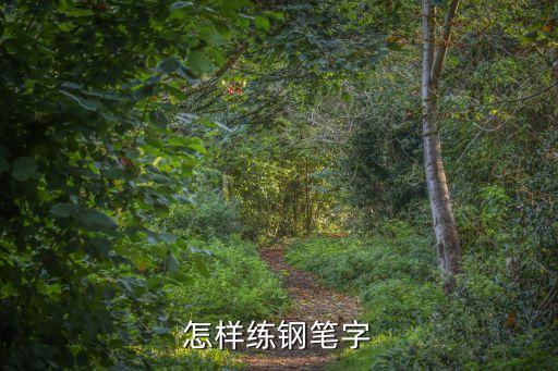 怎樣練鋼筆字
