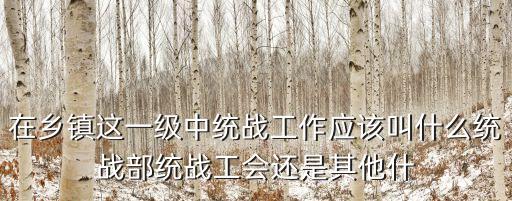統戰人員，統戰部是干什么的