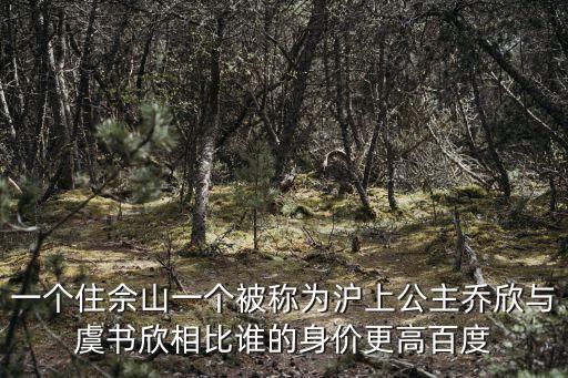 一個住佘山一個被稱為滬上公主喬欣與虞書欣相比誰的身價更高百度