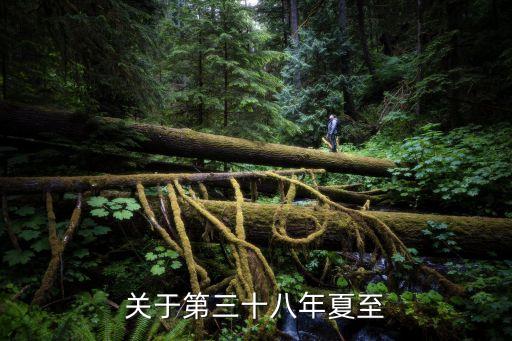 第三十八年夏至，關于第三十八年夏至