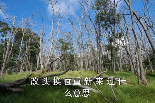  改 頭 換 面重 新 來 過 什么意思