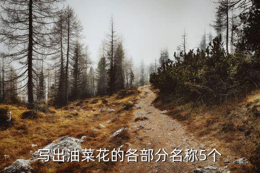 油菜的英文，QQ農(nóng)場油菜的英文名是什么