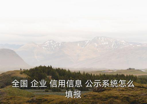 全國(guó) 企業(yè) 信用信息 公示系統(tǒng)怎么填報(bào)