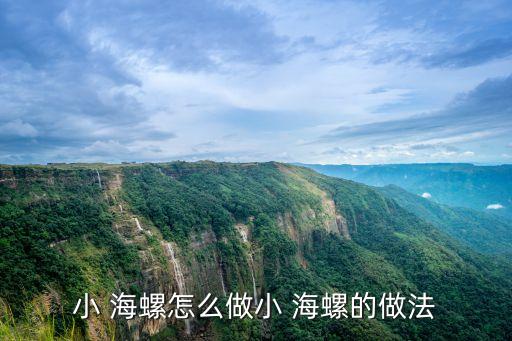 小 海螺怎么做小 海螺的做法
