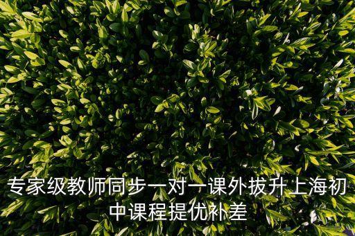 專家級教師同步一對一課外拔升上海初中課程提優補差