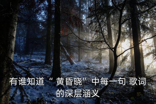 有誰知道“ 黃昏曉”中每一句 歌詞的深層涵義