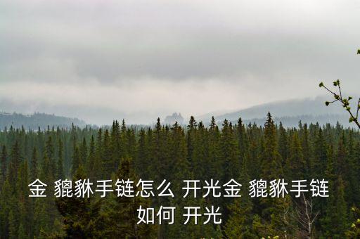 貔貅怎么開光認主