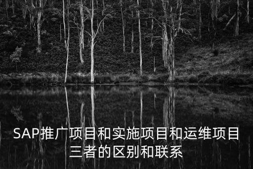 運(yùn)維項(xiàng)目，想知道項(xiàng)目中運(yùn)維是什么意思  求各位幫助