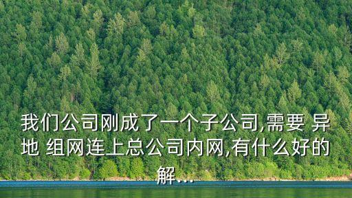 異地組網,建立虛擬局域網打破地域限制實現多點互相通信