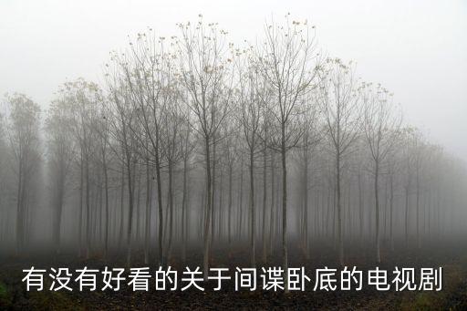 有沒(méi)有好看的關(guān)于間諜臥底的電視劇