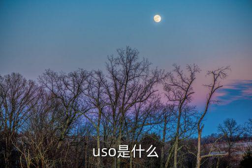 不明潛水物,中國信息產(chǎn)業(yè)部推廣普遍服務義務縮寫為uso