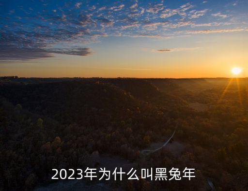 2023屬什么，20223年是屬什么生肖