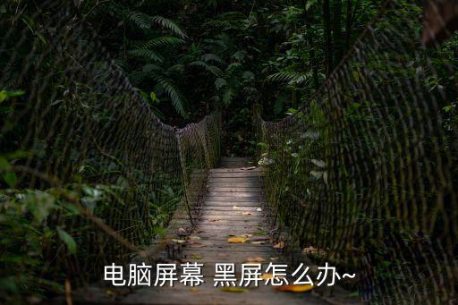 電腦屏幕 黑屏怎么辦~