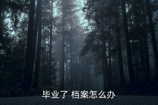 畢業了 檔案怎么辦