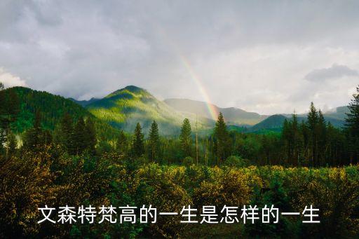 文森特梵高的一生是怎樣的一生