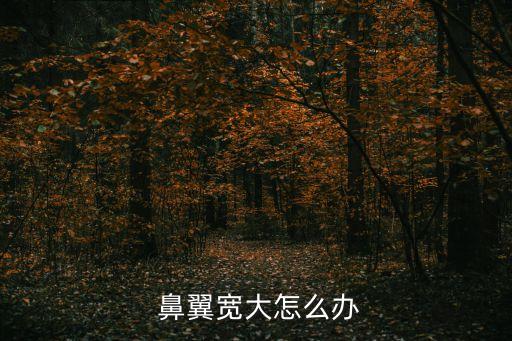  鼻翼寬大怎么辦
