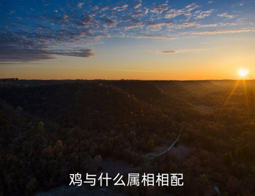 雞與什么屬相相配