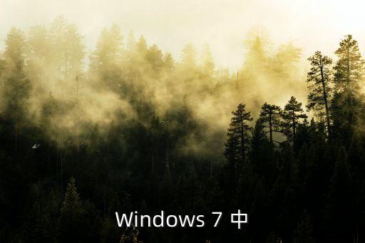 Windows 7 中