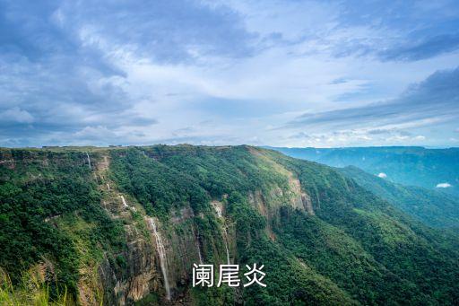 闌尾炎