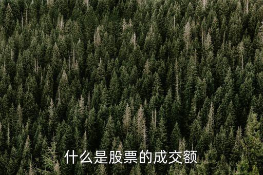 股票成交金額，什么是股票的成交額