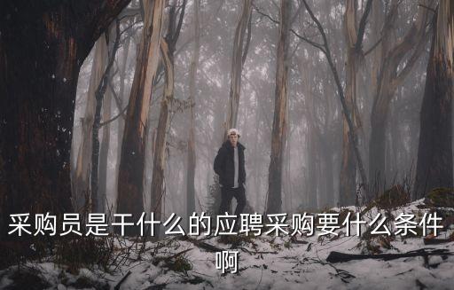 采購(gòu)員是干什么的應(yīng)聘采購(gòu)要什么條件啊