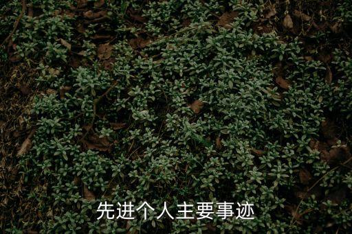 先進個人主要事跡
