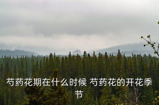 芍藥花期在什么時候 芍藥花的開花季節