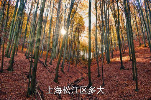 上海松江區(qū)多大