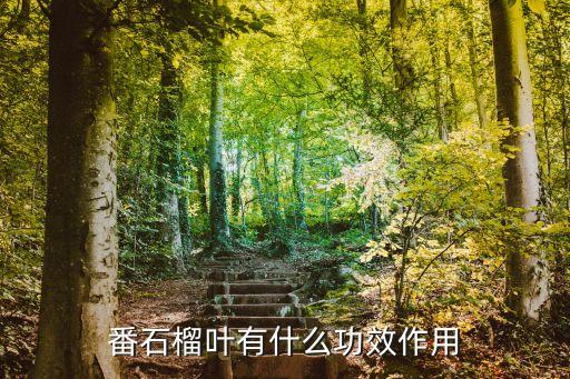 芭樂葉，請問芭樂葉是什么