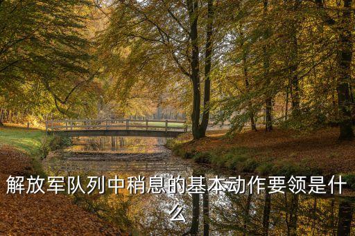解放軍隊列中稍息的基本動作要領是什么