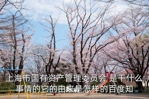 上海市國有資產管理委員會 是干什么事情的它的由來是怎樣的百度知