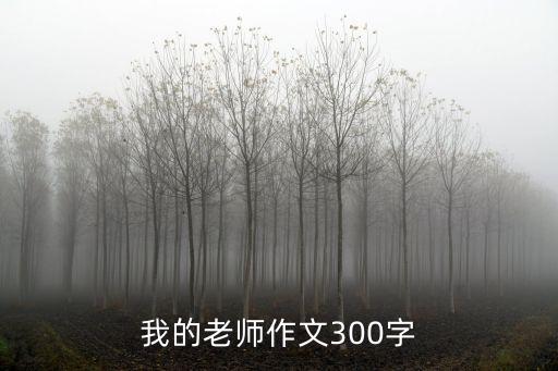 我的老師作文300字