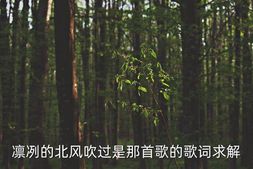 凜冽的北風吹過是那首歌的歌詞求解