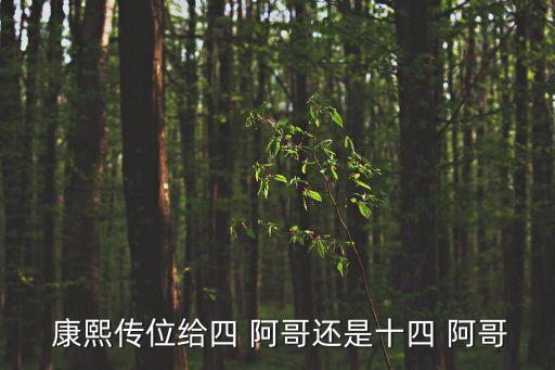  康熙傳位給四 阿哥還是十四 阿哥